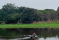 1765688731219-wisata-pinang-banjar-1765625220744_169