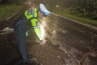 1765710360080-polisi-melakukan-olah-tkp-wanita-lansia-di-palembang-yang-tewas-kecelakaan-tunggal-saat-hindari-lubang-1765705101421_169