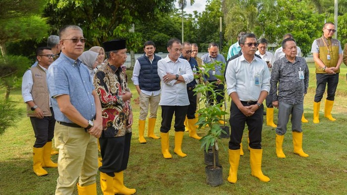 1765818399549-bank-sumsel-babel-menerapkan-program-1-tree-1-employee-1765796288112_169