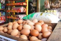 1765839872551-telur-ayam_169