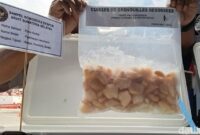 1765861587585-pemprov-sumsel-dan-balai-karantina-sumsel-bangun-sistem-digital-ketelusuran-komoditas-ekspor-1765813485910_169