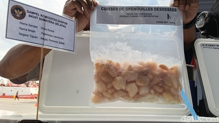 1765861587585-pemprov-sumsel-dan-balai-karantina-sumsel-bangun-sistem-digital-ketelusuran-komoditas-ekspor-1765813485910_169