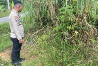 1765883152695-bayi-laki-laki-ditemukan-di-pinggir-jalan-kerinci-jambi-1765862595862_169