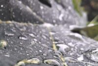 1766012702075-ilustrasi-hujan-1764385551807_169