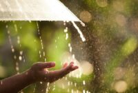 1766271910385-ilustrasi-hujan-1761276974172_169