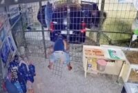 1767006366071-rekaman-cctv-yang-memperlihatkan-empat-pelaku-membobol-toko-sembako-di-palembang-1766993458166_169