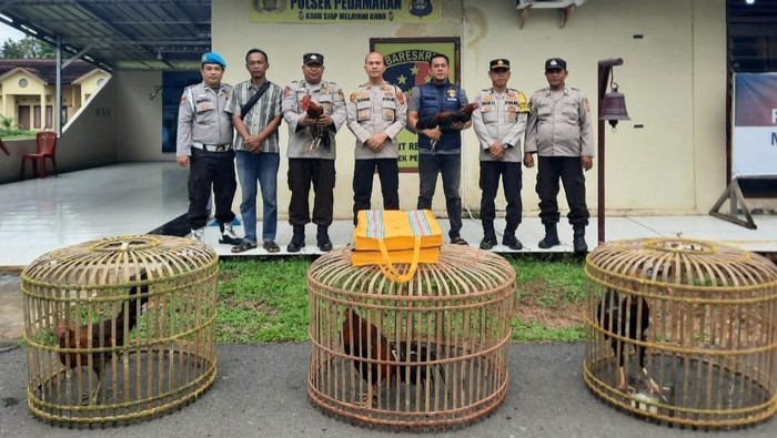 1767157648853-polisi-mengamankan-sembilan-ayam-usai-menggerebek-sabung-judi-sabung-1767108267688_169