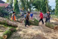 1767265727808-pohon-tumbang-di-muba-akibat-hujan-deras-dan-angin-kencang-1767244804096_169