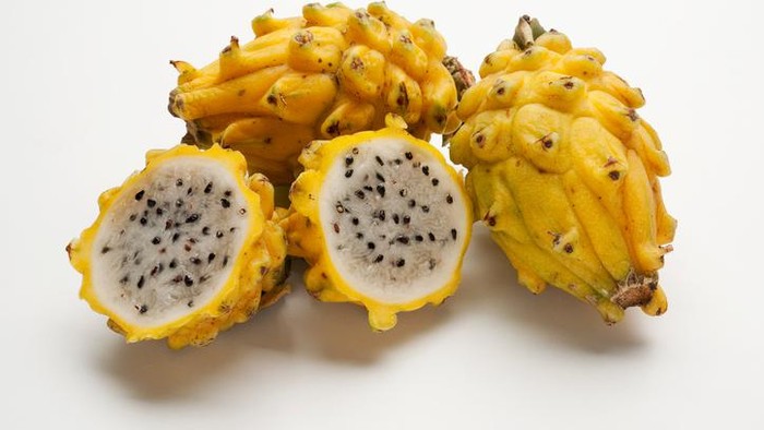 1767287143867-ce511810-dcb0-4cbd-a1f6-b96faea842c4_169