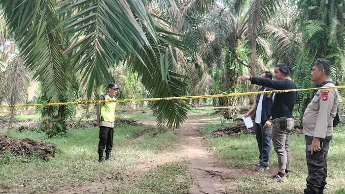 1767352066923-polisi-saat-melakukan-olah-tkp-lokasi-pembunuhan-di-musi-banyuasin-1767341634657_169