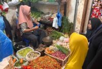 1767373558990-jelang-nataru-harga-cabai-di-lamongan-melonjak-tajam-1765350184993_169