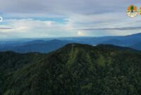 1767956780243-taman-nasional-kerinci-seblat_169