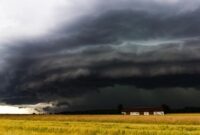 1767978353875-awan-badai_169