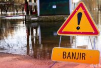 1767978358252-66e4dd89-c4f6-4a91-9f82-f5065a953e29_169