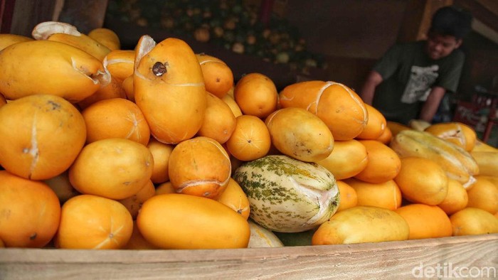 1767999895220-edfc01d9-b9ca-4176-9fc3-35b12061f1ca_169