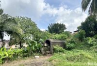 1767999905524-goa-jepang-di-palembang-yang-rencananya-akan-ditata-oleh-pemkot-palembang-1767955974677_169