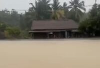 1768107976966-banjir-merendam-ribuan-rumah-dan-ribuan-hektare-sawah-di-kabupaten-oki-1768050489664_169