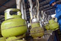 1768302352140-gas-lpg-subsidi-3-kg_169