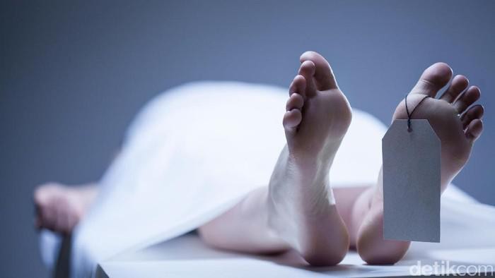 1769079987000-penemuan-mayat-wanita-duduk-di-melaya_169