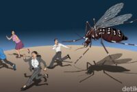 1769101615240-ilustrasi-detikx-wabah-demam-berdarah_169