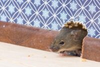 1769317562215-526538639_169