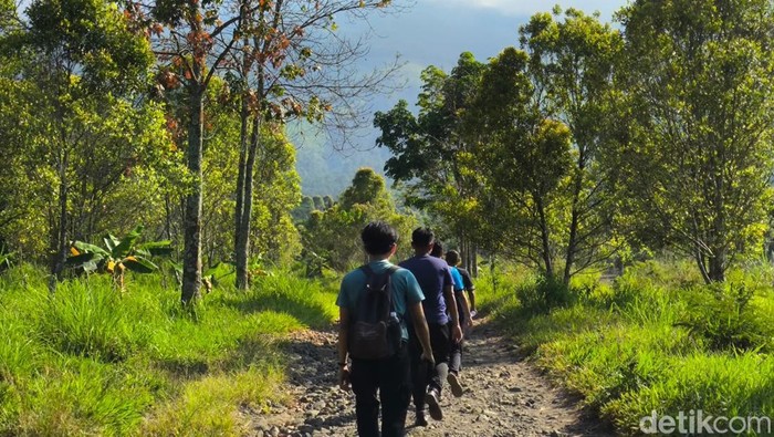 1769382363594-suasana-jalur-hiking-dan-pemandangan-bukit-lambosir-kuningan-1754627898531_169