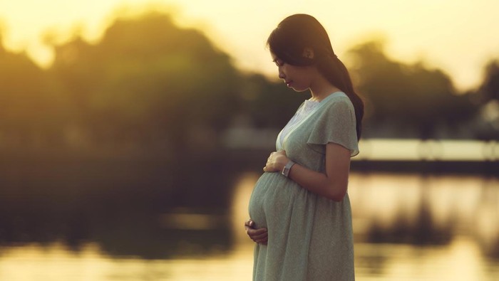 1769403977266-ilustrasi-ibu-hamil-1762841557979_169