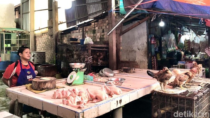 1769425571099-pedagang-ayam-potong-di-pasar-km-5-kota-palembang-1769401155757_169