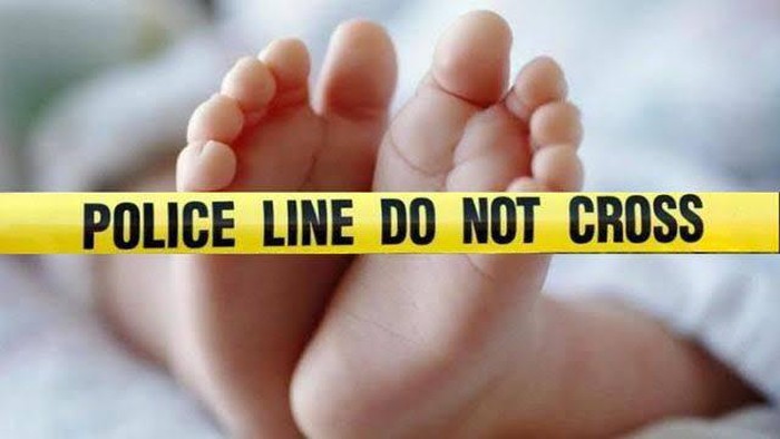 1769425576605-ilustrasi_169