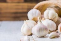 1769447210734-ilustrasi-bawang-putih_169