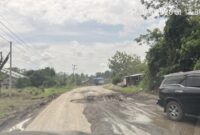 1769490384563-jalan-lintas-musi-rawas-sekayu-rusak-parah-1769428742326_169