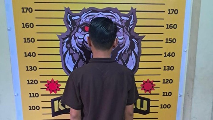 1769512002358-pelaku-penggelapan-uang-perusahaan-di-jambi-ditangkap-1769442595188_169